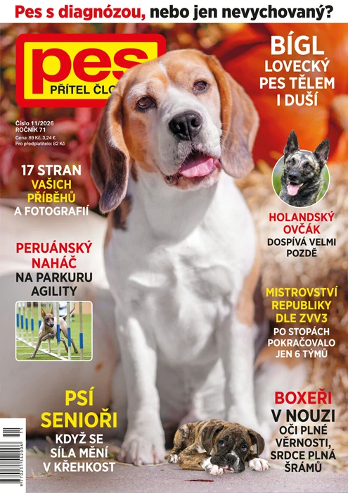 Pes přítel člověka - předplatné
