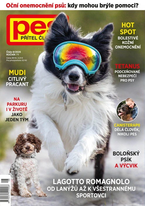 Pes přítel člověka - předplatné
