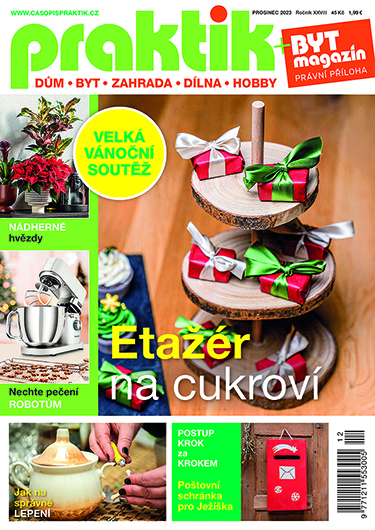 Praktik 12/2023