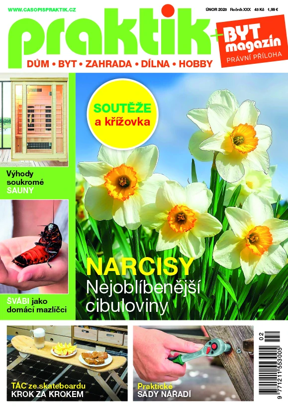 Praktik 2/2025