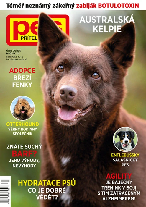 Pes přítel člověka 8/2025