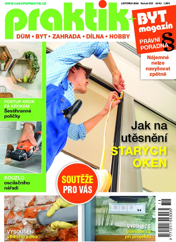 Praktik 11/2025