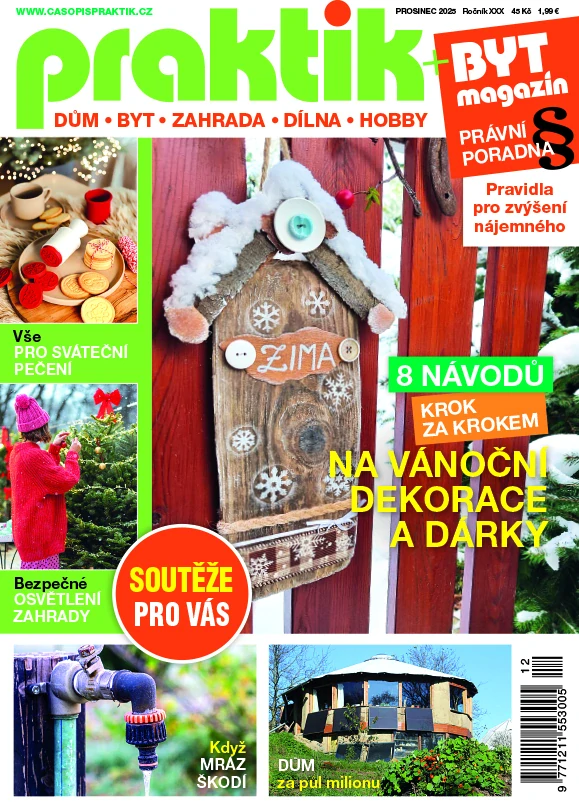 Praktik 12/2025