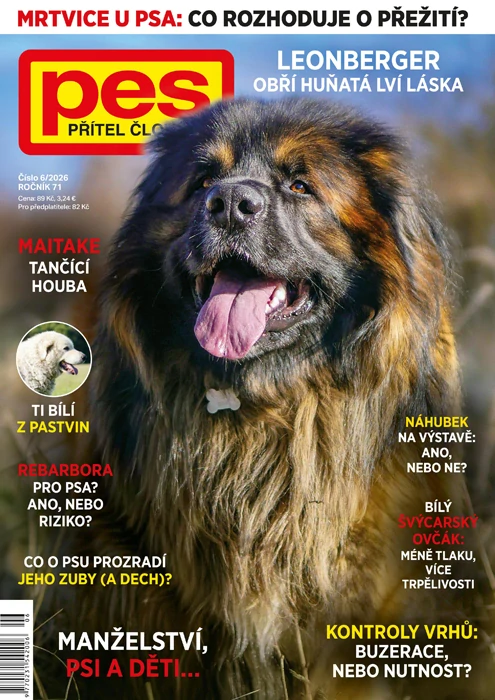 Pes přítel člověka 6/2026