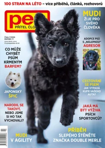 Pes přítel člověka - předplatné
