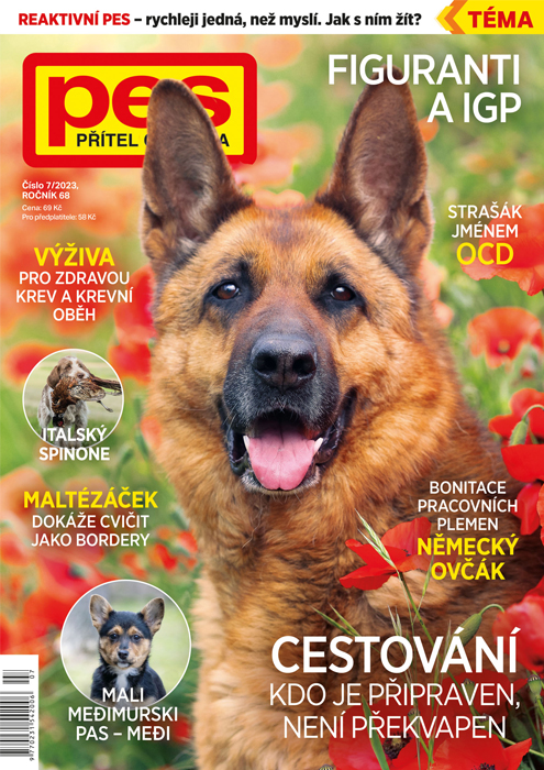 Pes přítel člověka 7/2023