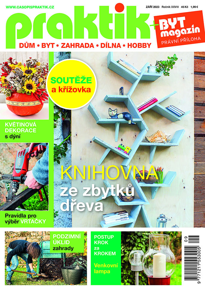 Praktik 9/2023