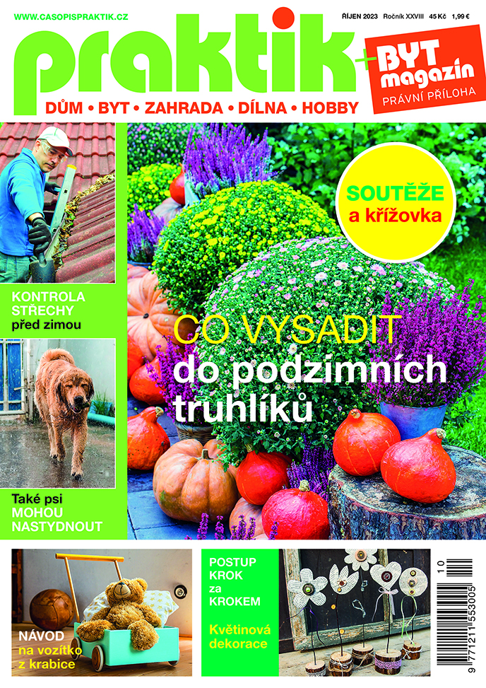 Praktik 10/2023