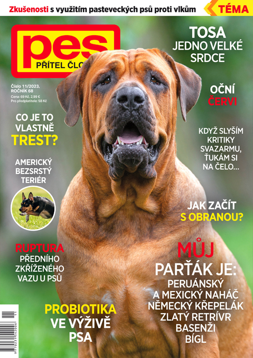 Pes přítel člověka 11/2023