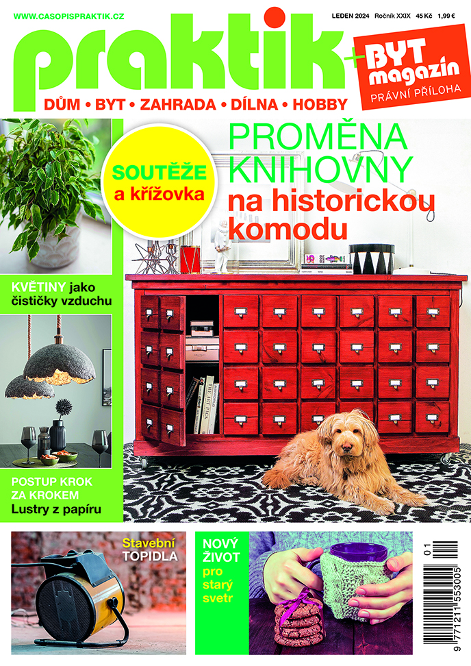 Praktik 1/2024