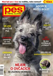Pes přítel člověka 4/2024