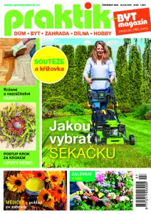 Praktik 7/2024