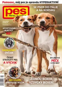 Pes přítel člověka 8/2024