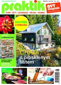 Praktik 8/2024