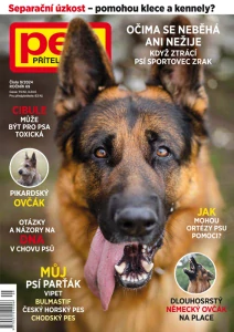 Pes přítel člověka 9/2024