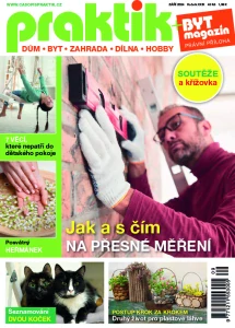 Praktik 9/2024