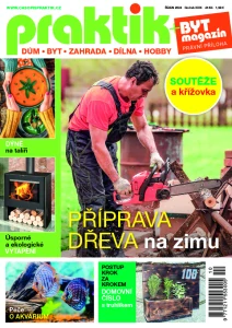 Praktik 10/2024