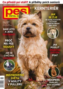 Pes přítel člověka 11/2024