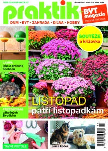 Praktik 11/2024
