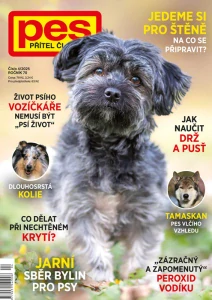Pes přítel člověka 4/2025