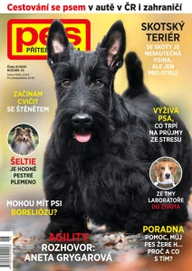 Pes přítel člověka 6/2025