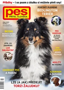 Pes přítel člověka 1/2026
