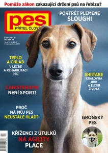 Pes přítel člověka 2/2026