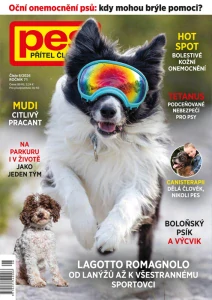 Pes přítel člověka 8/2026