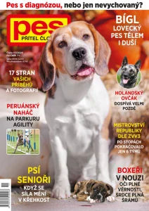Pes přítel člověka 11/2026