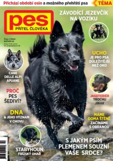 Pes přítel člověka 7/2024