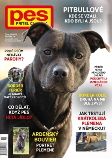 Pes přítel člověka 11/2025