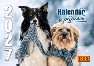 Plánovací nástěnný kalendář 2027, doručení 5.10.2026