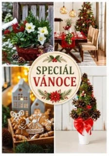 PŘEDOBJEDNÁVKA SPECIÁL VÁNOCE - ONA VÍ